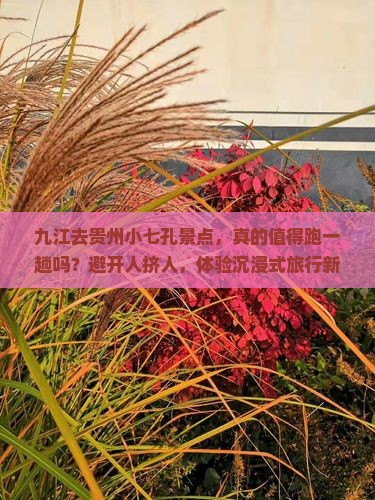 九江去贵州小七孔景点