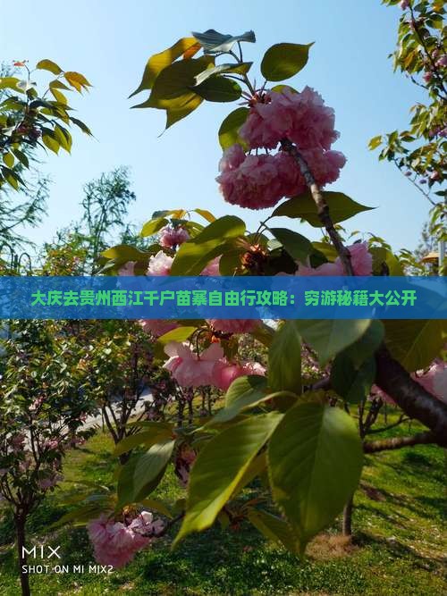 大庆去贵州西江千户苗寨自由行