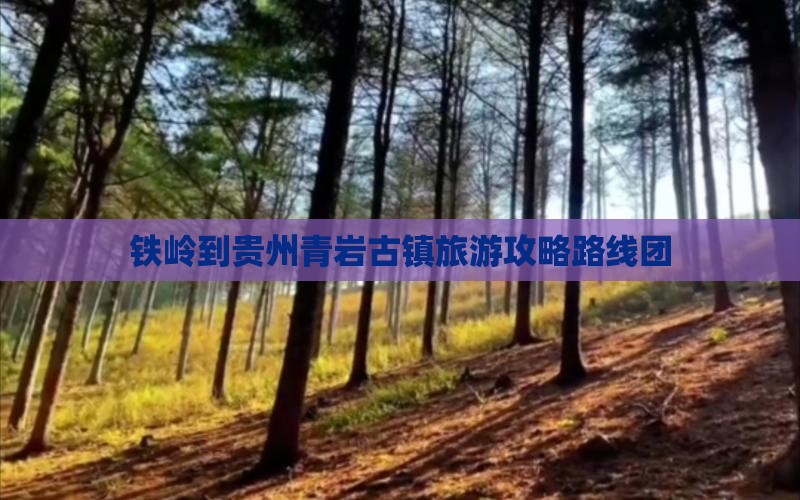铁岭到贵州青岩古镇旅游