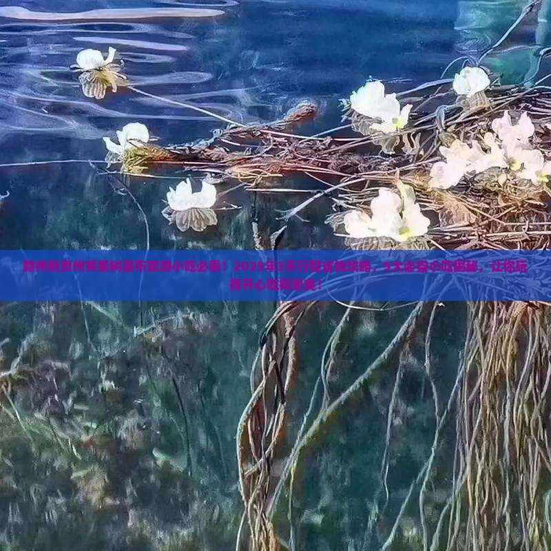 赣州到贵州黄果树瀑布旅游小吃