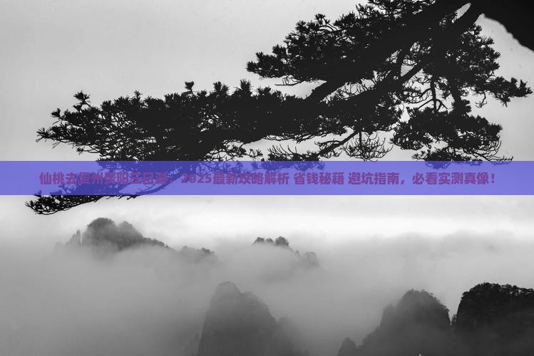 仙桃去贵州贵阳三日游