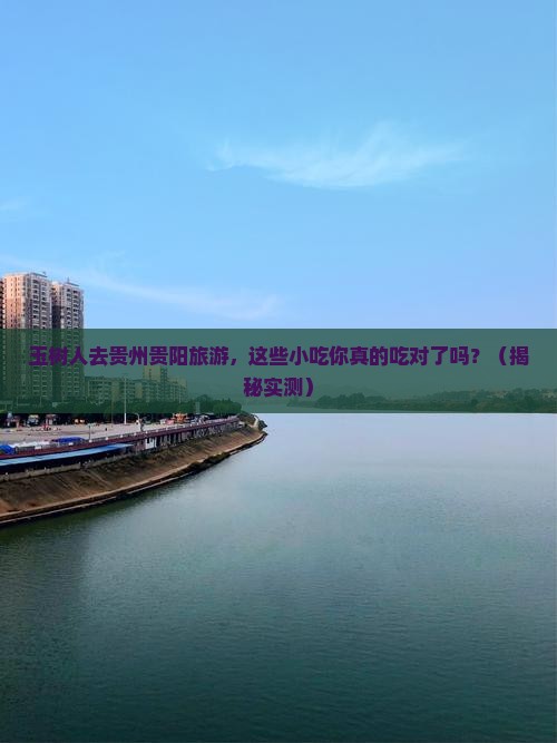 玉树去贵州贵阳旅游小吃
