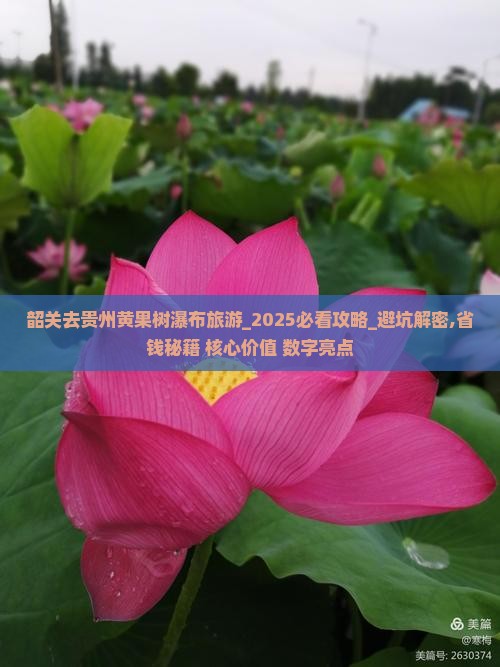 韶关去贵州黄果树瀑布旅游