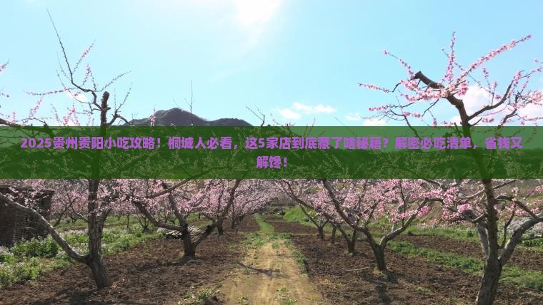 桐城去贵州贵阳旅游小吃