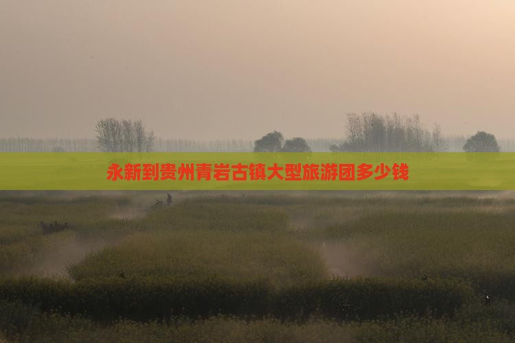 永新到贵州青岩古镇大型旅游团