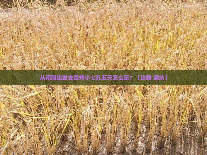 南阳到贵州小七孔五日游