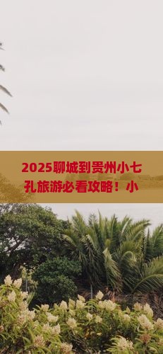 聊城到贵州小七孔旅游小吃