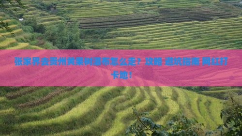 张家界去贵州黄果树瀑布旅行社