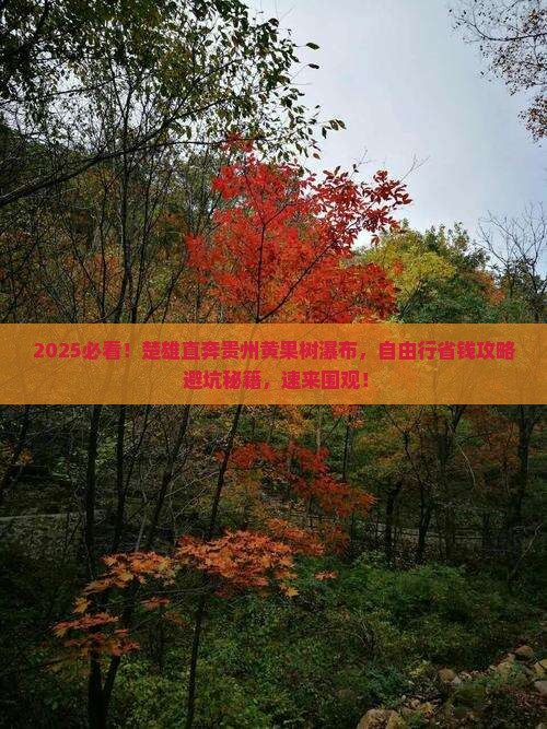 楚雄去贵州黄果树瀑布自由团