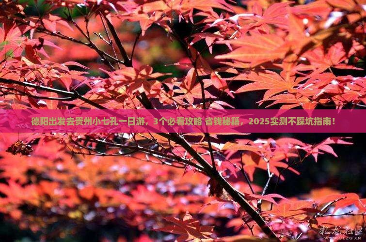 德阳去贵州小七孔一日