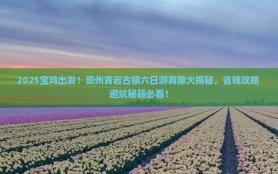 宝鸡去贵州青岩古镇六日游