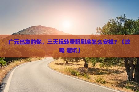 广元到贵州贵阳三日游