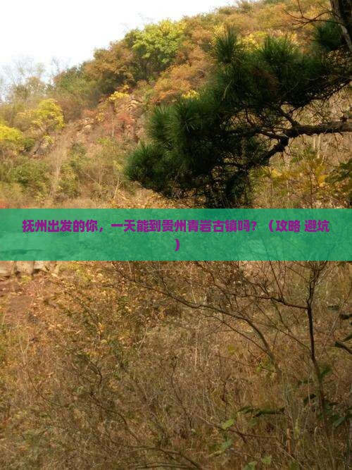 抚州到贵州青岩古镇一日