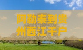 阿勒泰到贵州西江千户苗寨一日