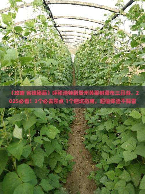 呼和浩特到贵州黄果树瀑布三日游