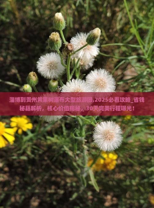 淄博到贵州黄果树瀑布大型旅游团