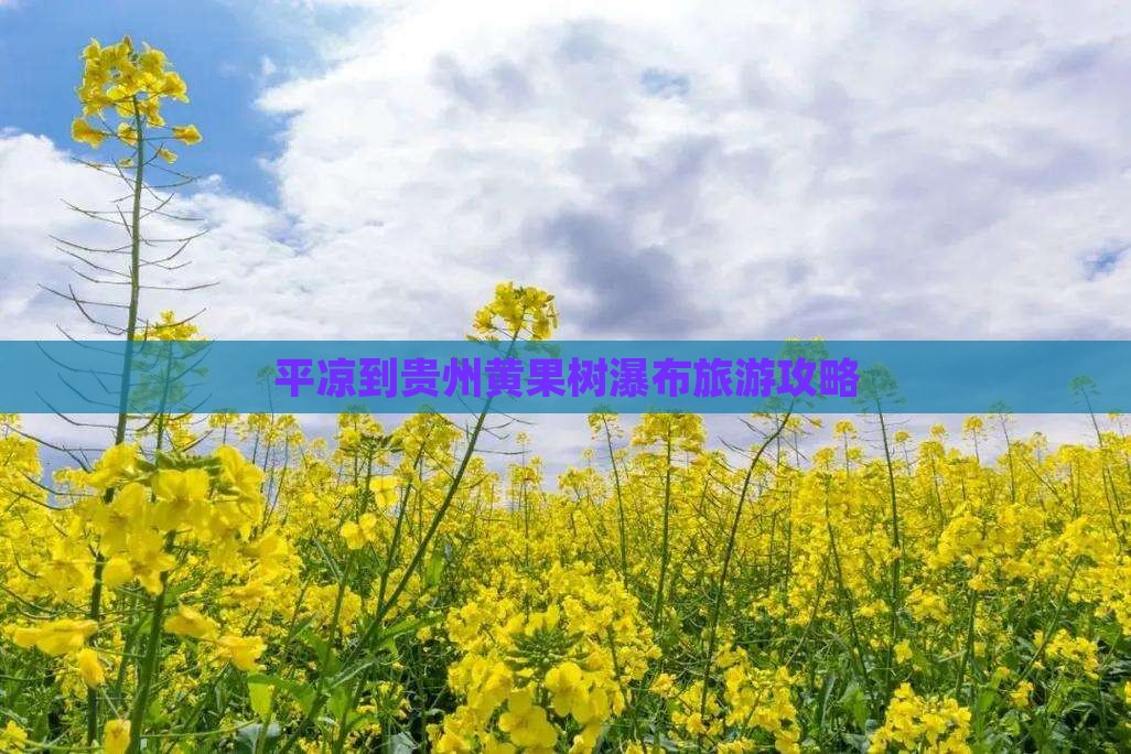 平凉到贵州黄果树瀑布二日游