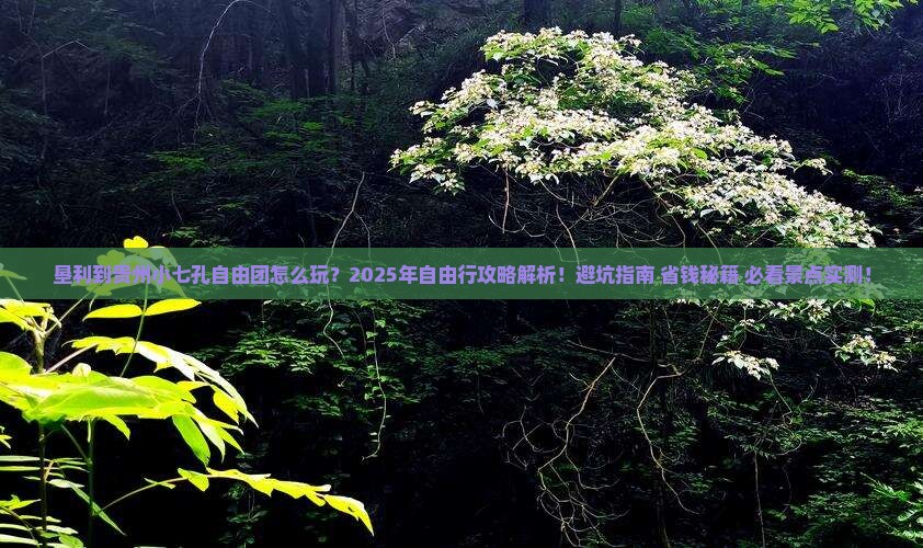 垦利到贵州小七孔自由团