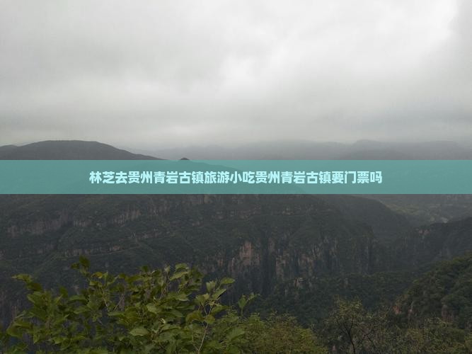 林芝去贵州青岩古镇旅游小吃