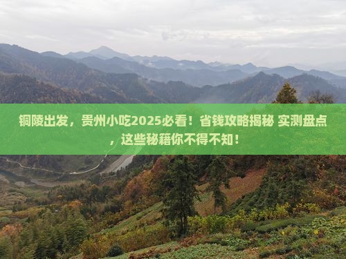 铜陵去贵州旅游小吃