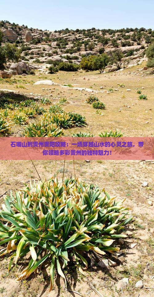 石嘴山到贵州贵阳攻略 石嘴山到贵州贵阳攻略