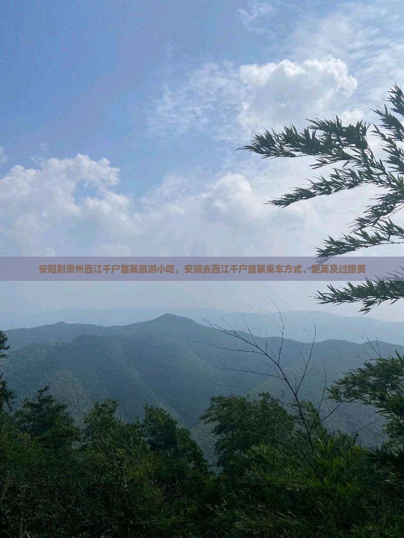 安阳到贵州西江千户苗寨旅游小吃