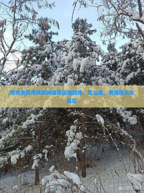 漳州去贵州黄果树瀑布旅游