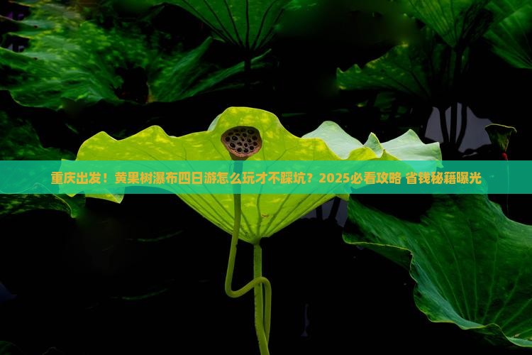 重庆到贵州黄果树瀑布四日游