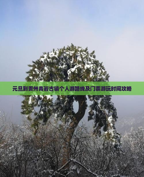 元旦到贵州青岩古镇个人游