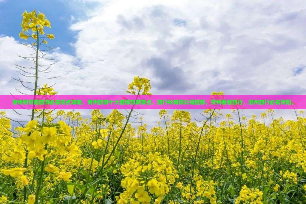 潮州到贵州贵阳必去地