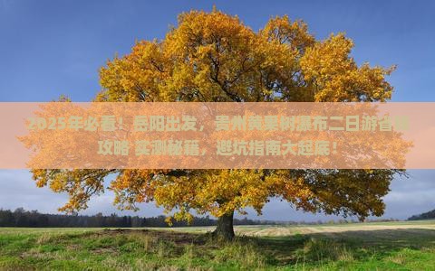 岳阳去贵州黄果树瀑布二日游