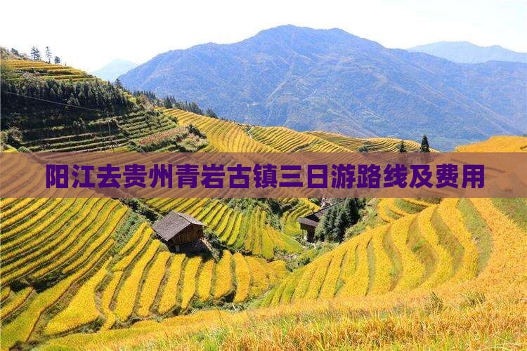 阳江去贵州青岩古镇三日游