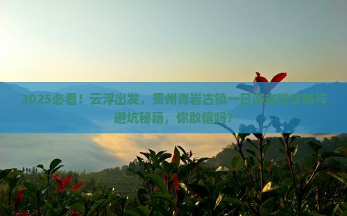云浮到贵州青岩古镇一日