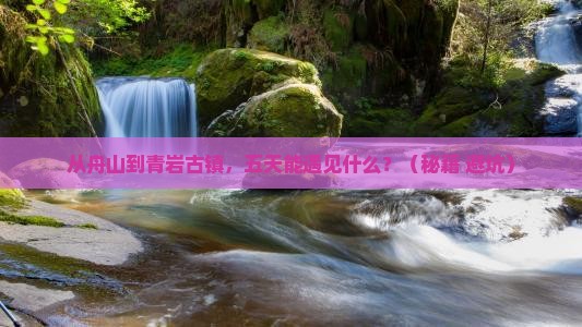 舟山到贵州青岩古镇五日游