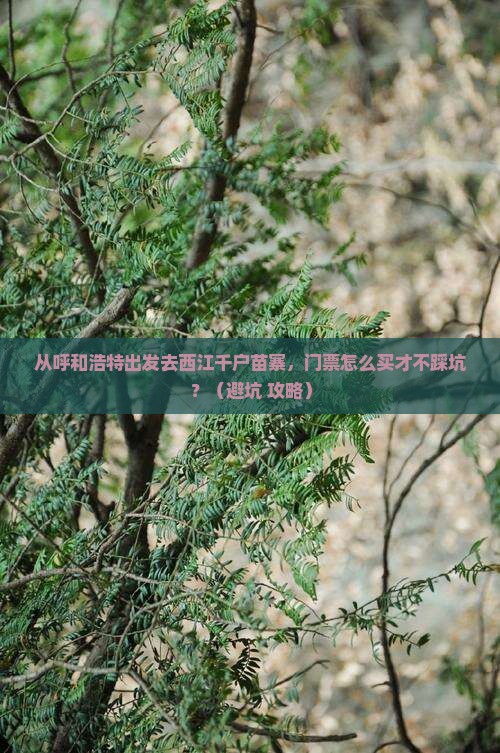 呼和浩特去贵州西江千户苗寨门票