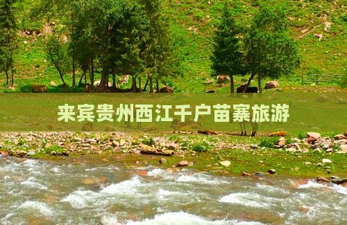 来宾去贵州西江千户苗寨旅行社
