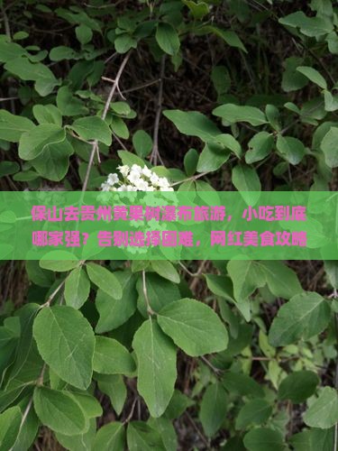 保山去贵州黄果树瀑布旅游小吃