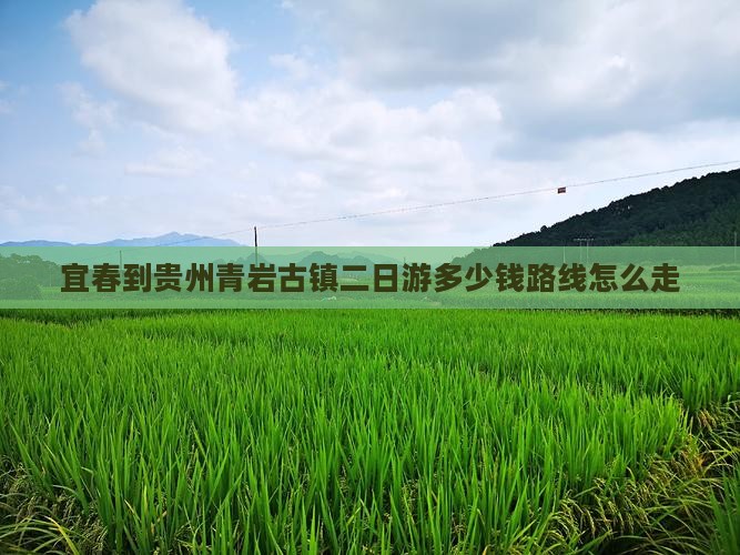 宜春到贵州青岩古镇二日游