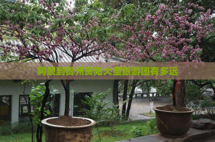 阿坝到贵州贵阳大型旅游团