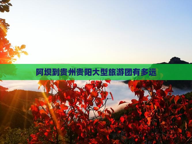阿坝到贵州贵阳大型旅游团