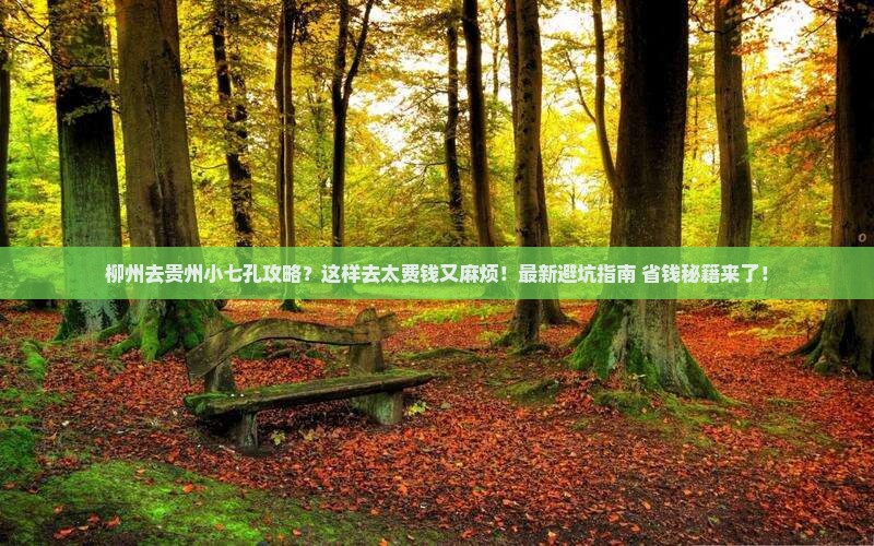 柳州去贵州小七孔攻略