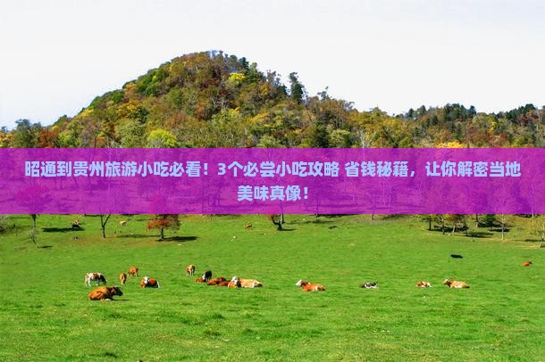 昭通到贵州旅游小吃