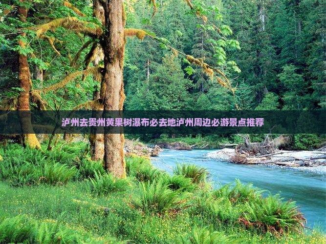 泸州去贵州黄果树瀑布必去地 泸州去贵州黄果树瀑布必去地
