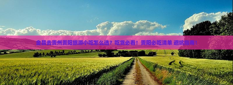 金昌去贵州贵阳旅游小吃