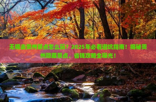 无锡去贵州景点