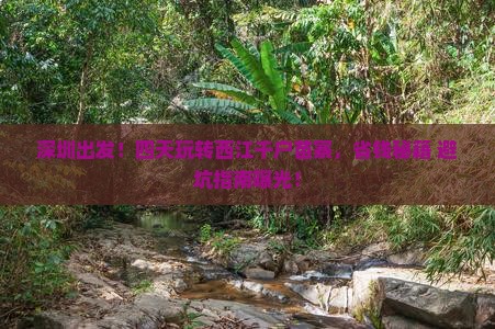 深圳去贵州西江千户苗寨四日游