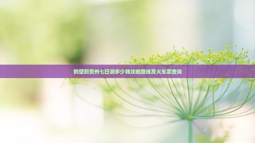 鹤壁到贵州七日游 鹤壁到贵州七日游