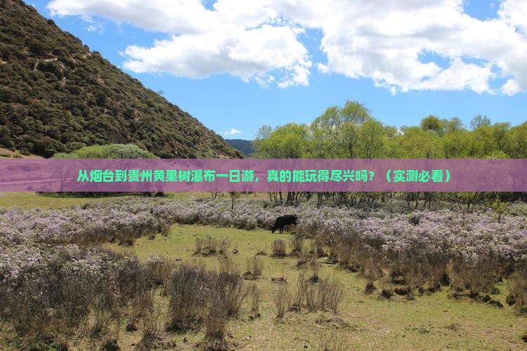 烟台到贵州黄果树瀑布一日