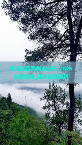 驻马店到贵州自由行