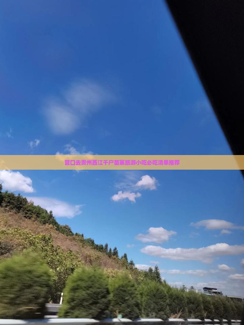 营口去贵州西江千户苗寨旅游小吃
